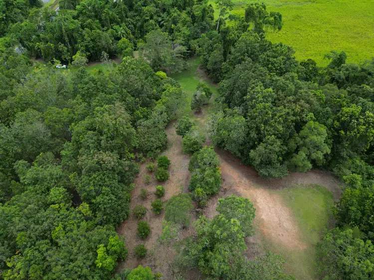 Fifth view of Homely land listing, 2869 Mossman Daintree Road, Lower Daintree, Daintree QLD 4873