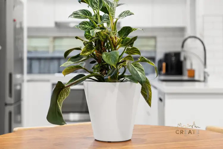 Fourth view of Homely townhouse listing, 2/5 Howell Place, Braybrook VIC 3019