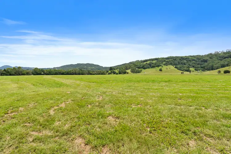 Third view of Homely rural property listing, 464 Bilambil Road, Bilambil NSW 2486