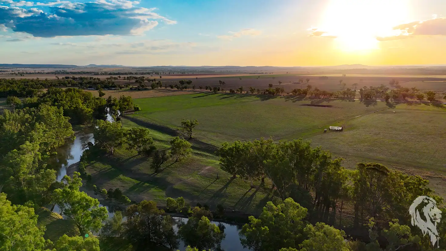 Main view of Homely rural property listing, 11664 Kamilaroi Highway, Emerald Hill NSW 2380