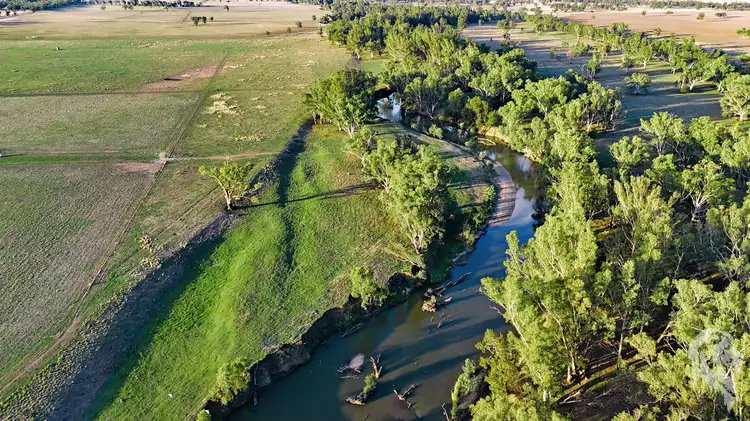 Fifth view of Homely rural property listing, 11664 Kamilaroi Highway, Emerald Hill NSW 2380