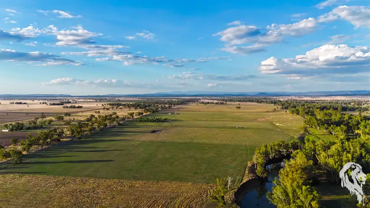 Seventh view of Homely rural property listing, 11664 Kamilaroi Highway, Emerald Hill NSW 2380