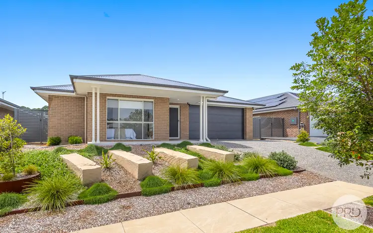 12 Macadamia Circuit, Medowie NSW 2318