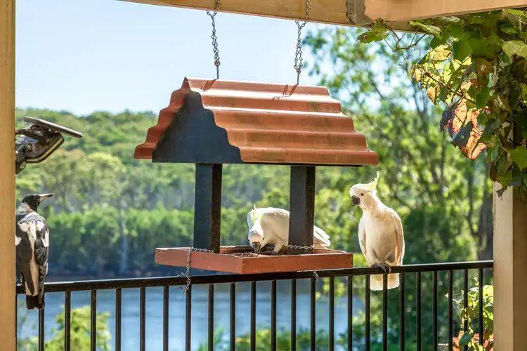 Sixth view of Homely house listing, 19 Braidwood Street, Nelligen NSW 2536