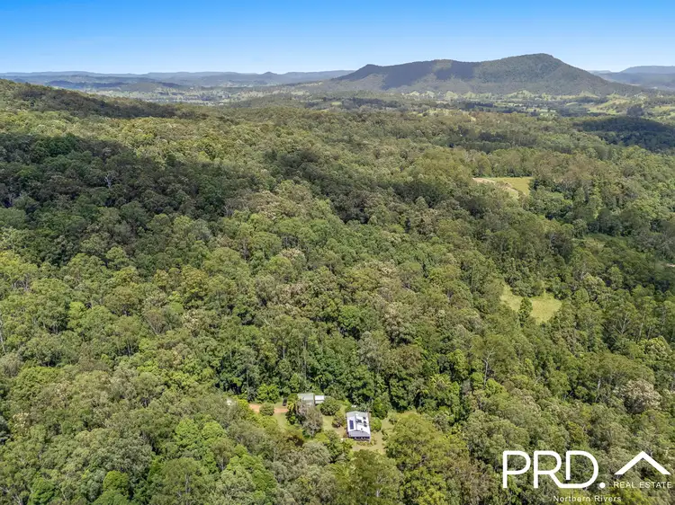 Second view of Homely house listing, 247 Davis Road, Kyogle NSW 2474