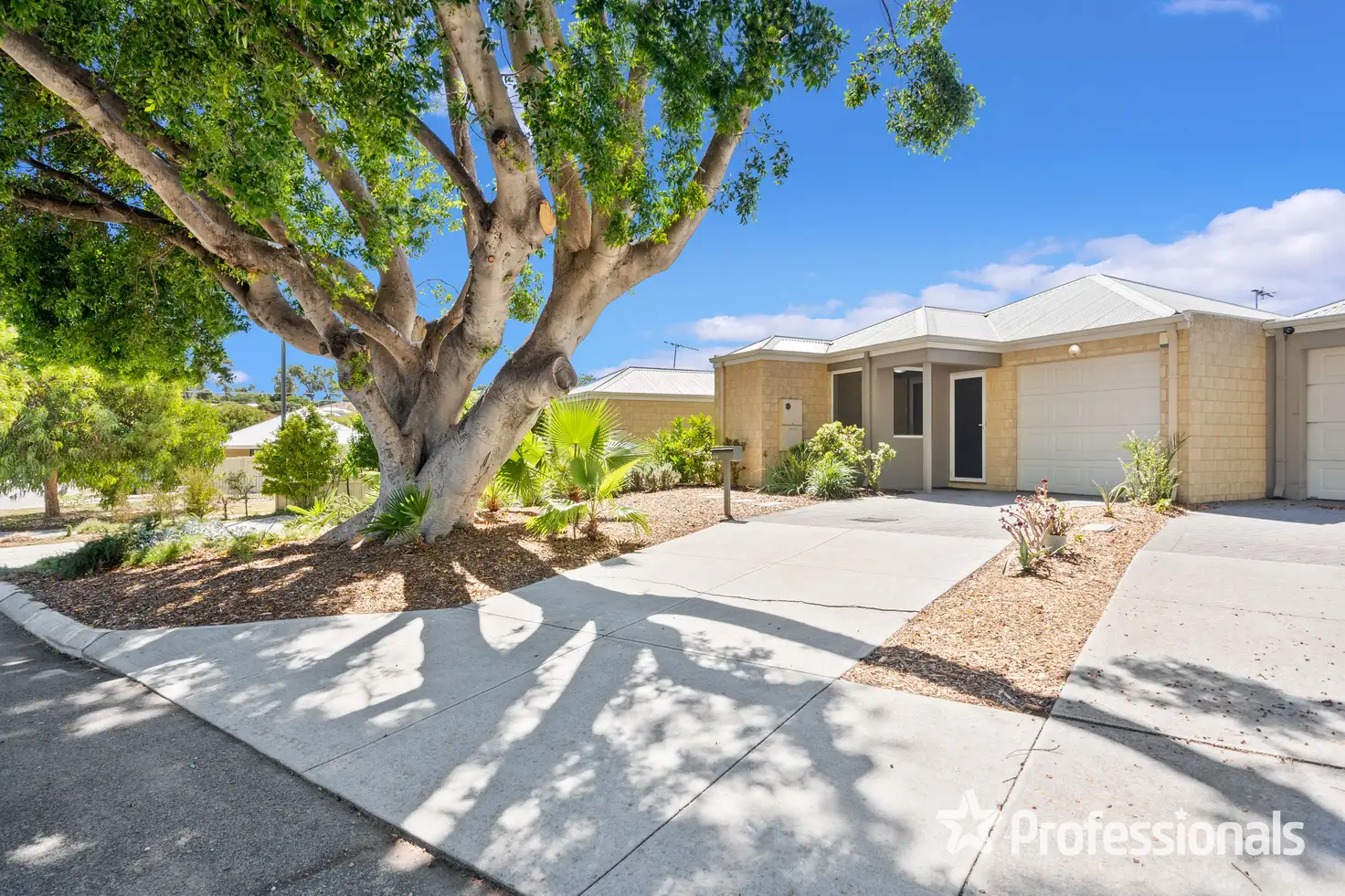 Main view of Homely villa listing, 44 Birchley Crescent, Balga WA 6061