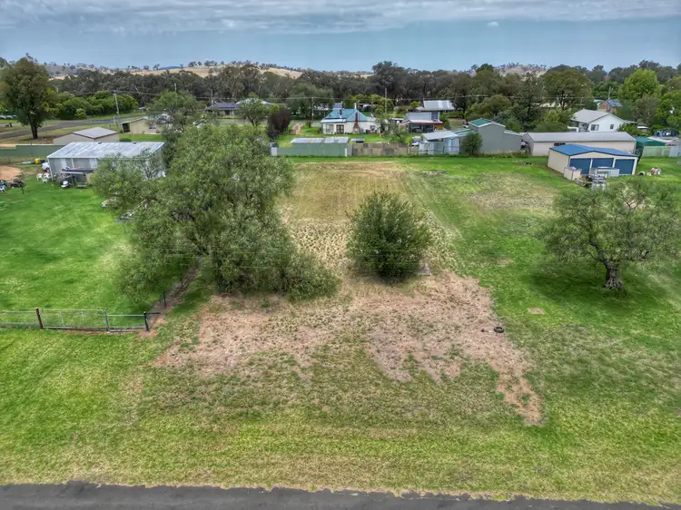 39 Belmore Street, Woodstock NSW 2793