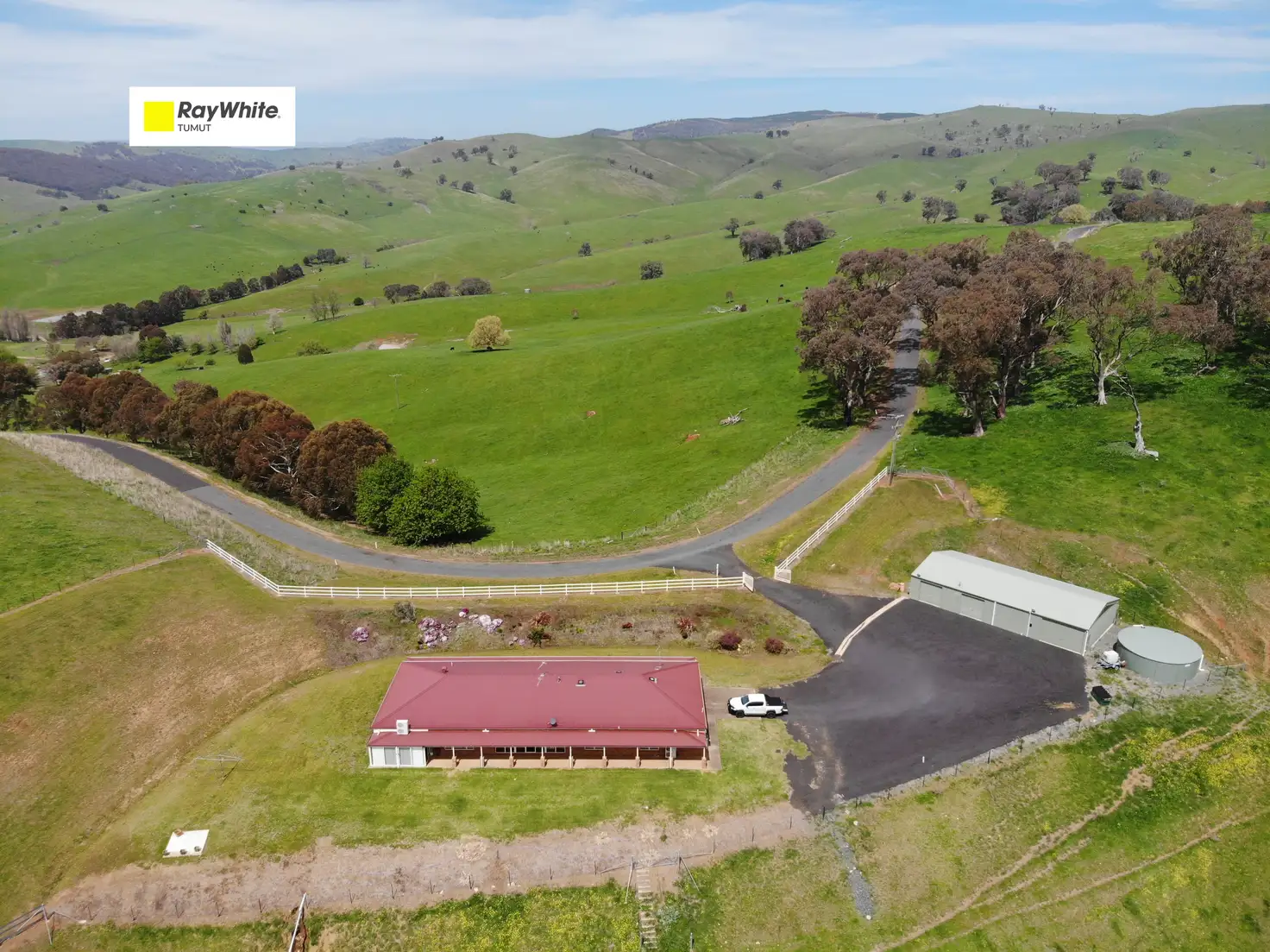 Main view of Homely house listing, 210 Sharps Creek Road, Adelong NSW 2729