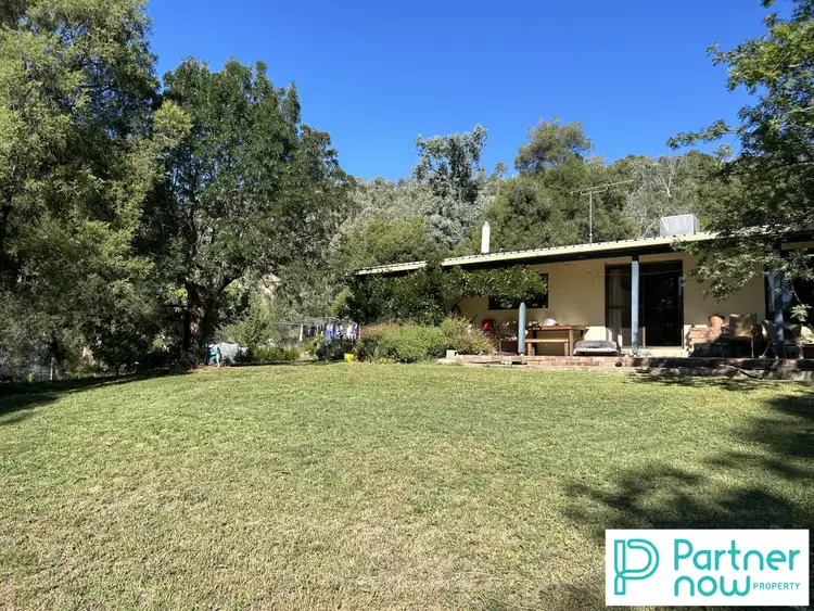 316 Back Kootingal Road, Tamworth NSW 2340