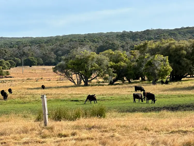 Sixth view of Homely rural property listing, Lot 4 Caves Road, Deepdene WA 6290