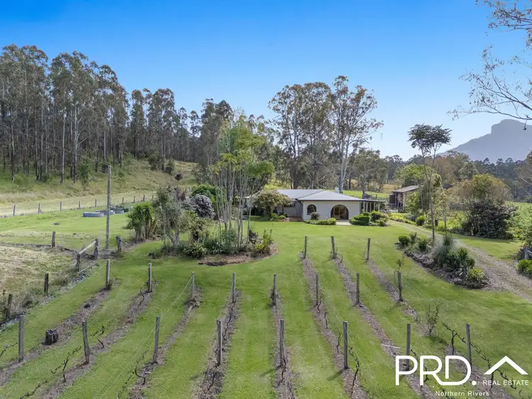 Second view of Homely rural property listing, 12 Burnetts Lane, Dairy Flat NSW 2474