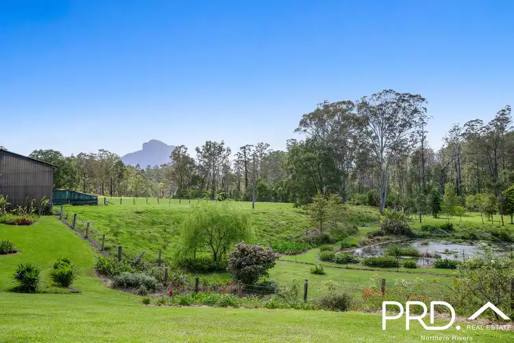 Fifth view of Homely rural property listing, 12 Burnetts Lane, Dairy Flat NSW 2474