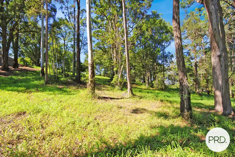 Fourth view of Homely land listing, 9-13 Dog Track Road, Kendall NSW 2439