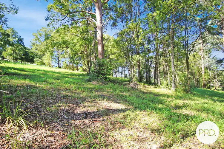 Seventh view of Homely land listing, 9-13 Dog Track Road, Kendall NSW 2439