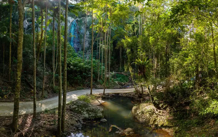196-276 Kaiser Road, Tamborine Mountain QLD 4272