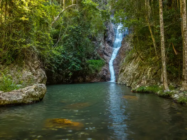 Third view of Homely rural property listing, 196-276 Kaiser Road, Tamborine Mountain QLD 4272