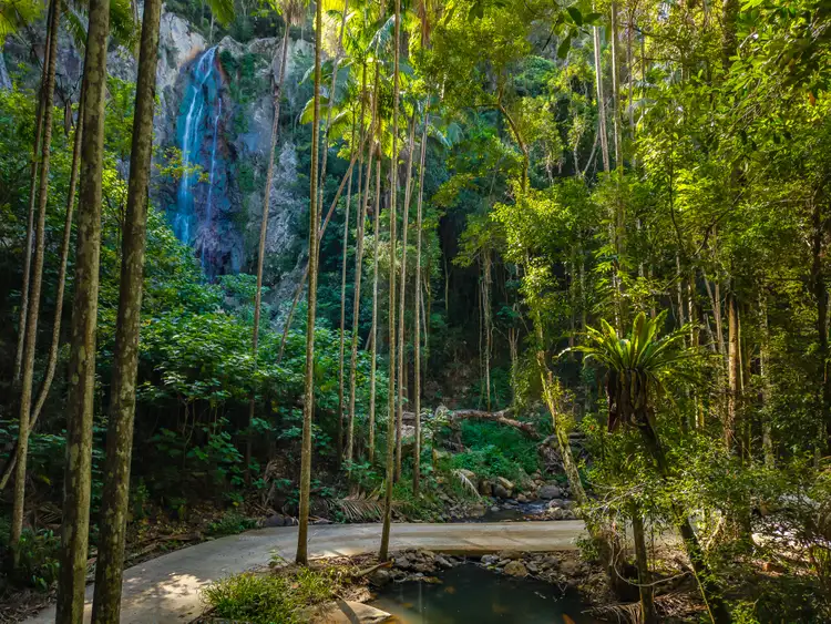 Fourth view of Homely rural property listing, 196-276 Kaiser Road, Tamborine Mountain QLD 4272