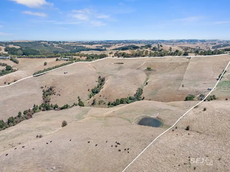 Seventh view of Homely rural property listing, 710 Korumburra - Warragul Road, Ranceby VIC 3951