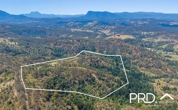 Fourth view of Homely house listing, 206 Sargents Road, Kyogle NSW 2474