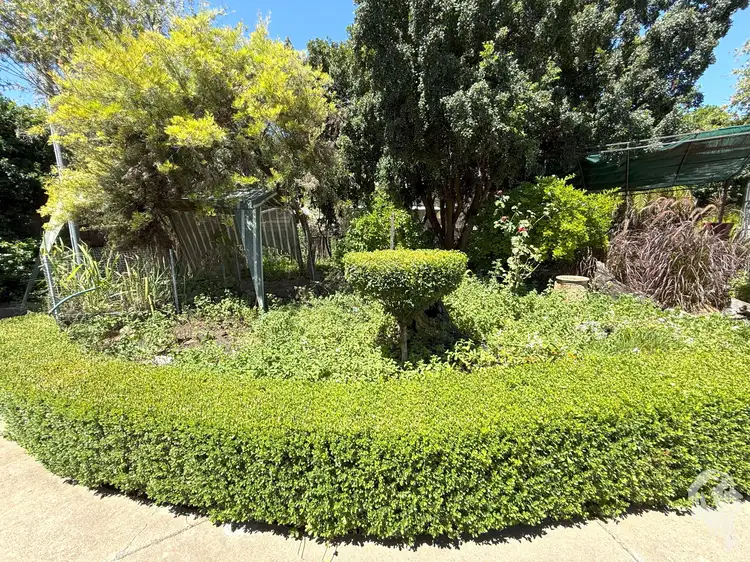 Fourth view of Homely house listing, 9 Kulaba Street, Narrabri NSW 2390
