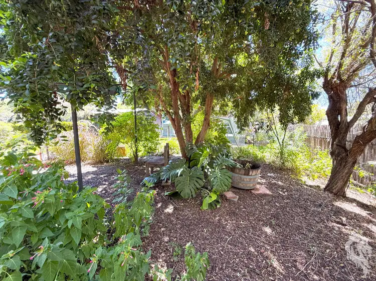 Seventh view of Homely house listing, 9 Kulaba Street, Narrabri NSW 2390