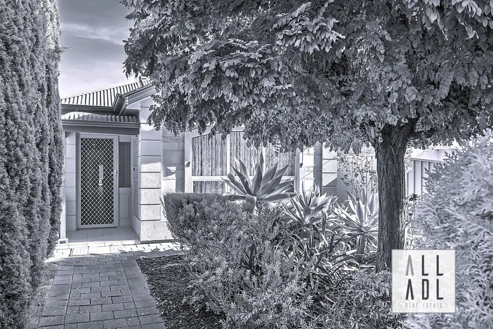 Main view of Homely house listing, 10 Shelley Street, Firle SA 5070