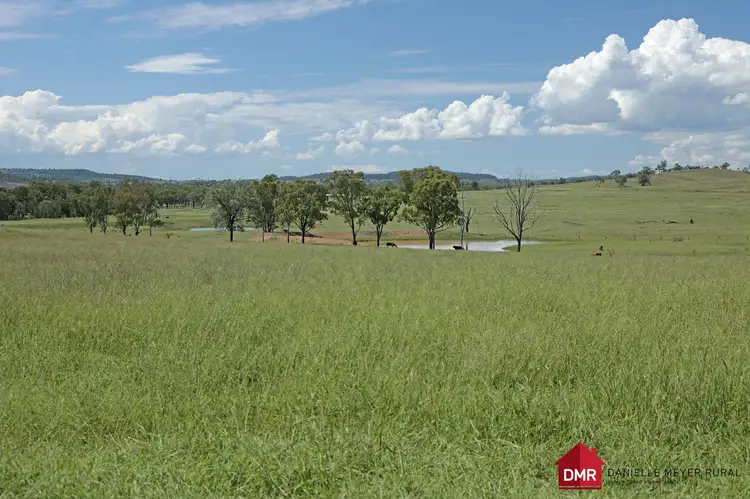 Main view of Homely rural property listing, 95 Monto Mount Perry Road, Tellebang QLD 4630