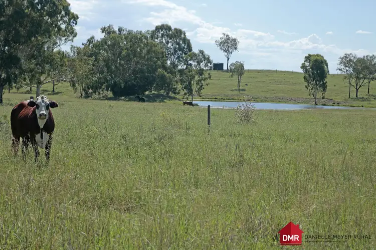 Third view of Homely rural property listing, 95 Monto Mount Perry Road, Tellebang QLD 4630