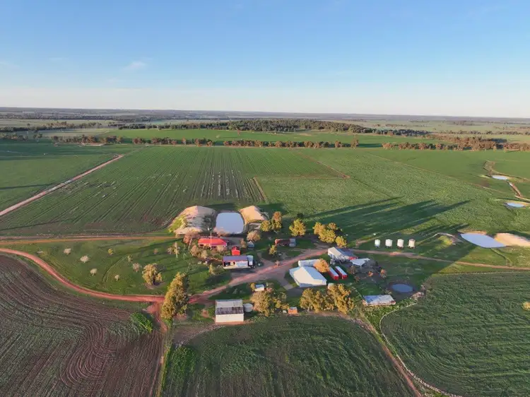 'Katunga', 1349 Trungley Hall Road, Temora NSW 2666