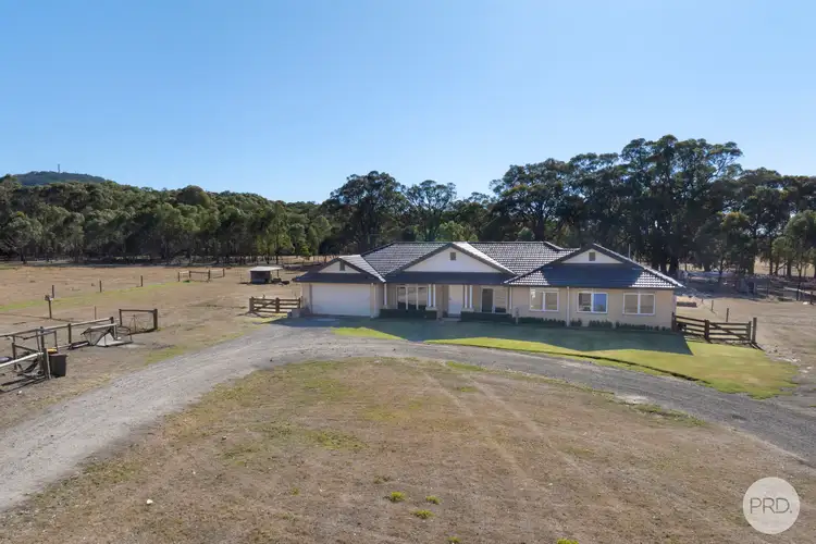Main view of Homely house listing, 163 Nash's Road, Scotsburn VIC 3352