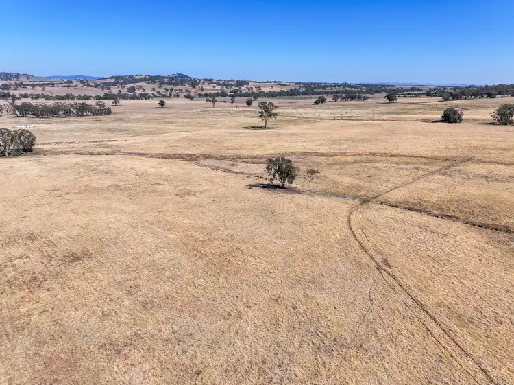Sixth view of Homely rural property listing, 'Yeronga' Piersons Road, Mangoplah NSW 2652