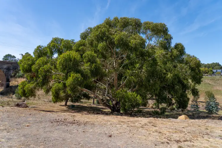Sixth view of Homely land listing, 300 Perth Mill Road, Perth TAS 7300