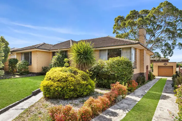 Main view of Homely house listing, 41 Jedda Street, Bell Post Hill VIC 3215