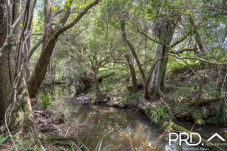 Fourth view of Homely land listing, 130 Homeleigh Road, Homeleigh NSW 2474