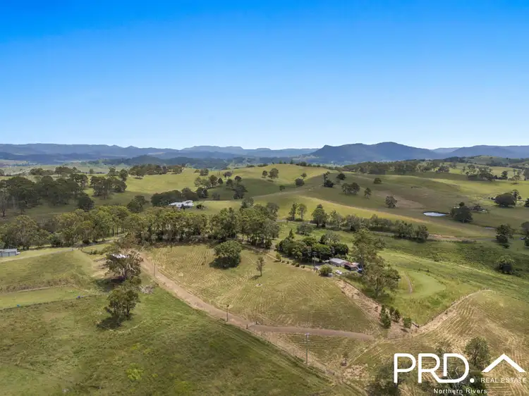 132 Homeleigh Road, Homeleigh NSW 2474