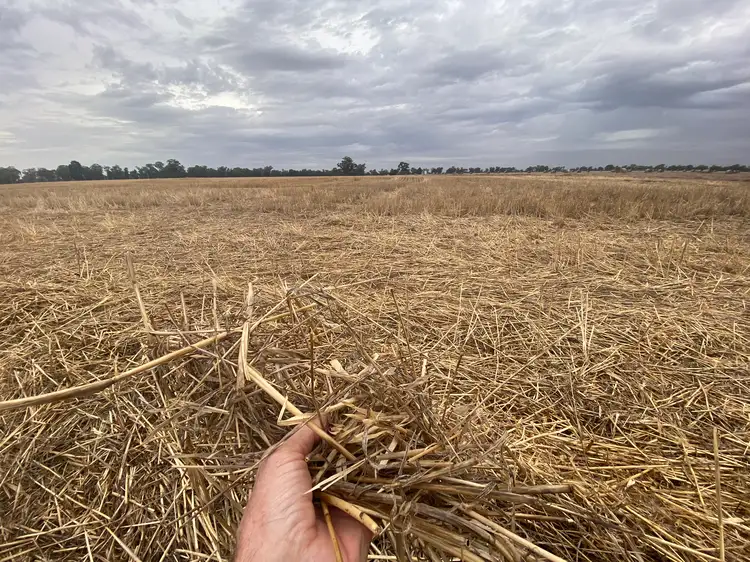 Third view of Homely rural property listing, LOT 1/DP52282 Bull Plain Road, Mulwala NSW 2647