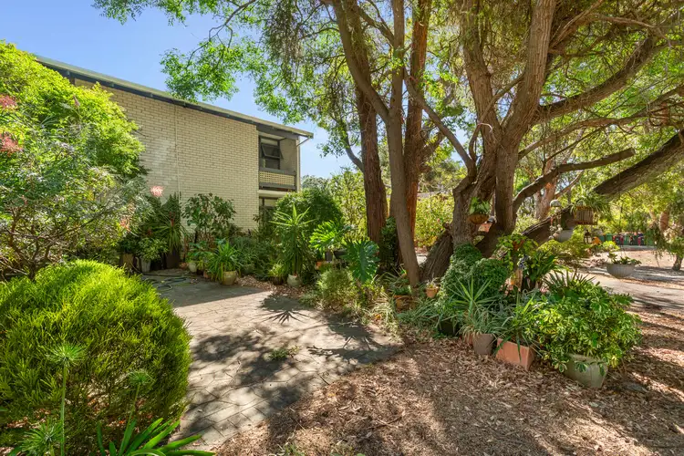 Second view of Homely house listing, 5/27 Byron Road, Kalamunda WA 6076