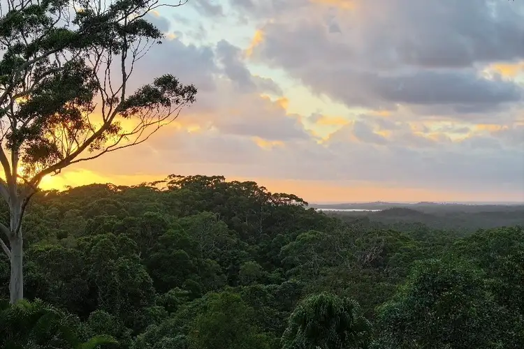 551 Sunrise Road, Tinbeerwah QLD 4563