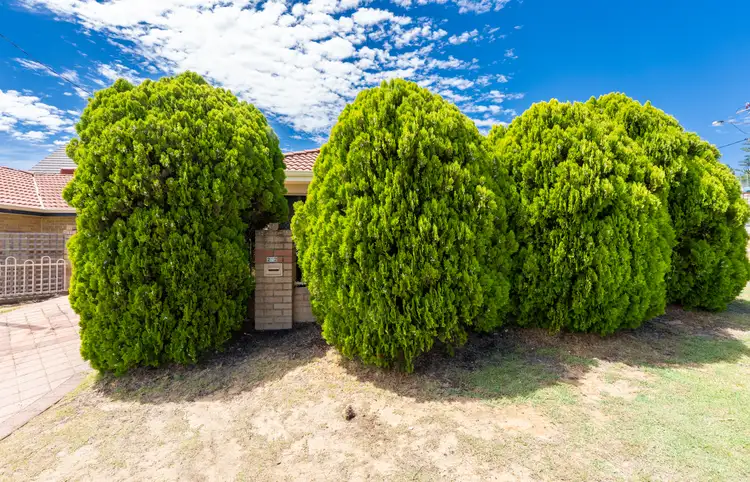 Second view of Homely house listing, 232 Flamborough Street, Doubleview WA 6018