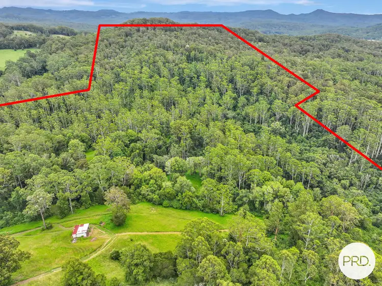 Second view of Homely rural property listing, 1851 Hannam Vale Road, Lorne NSW 2439
