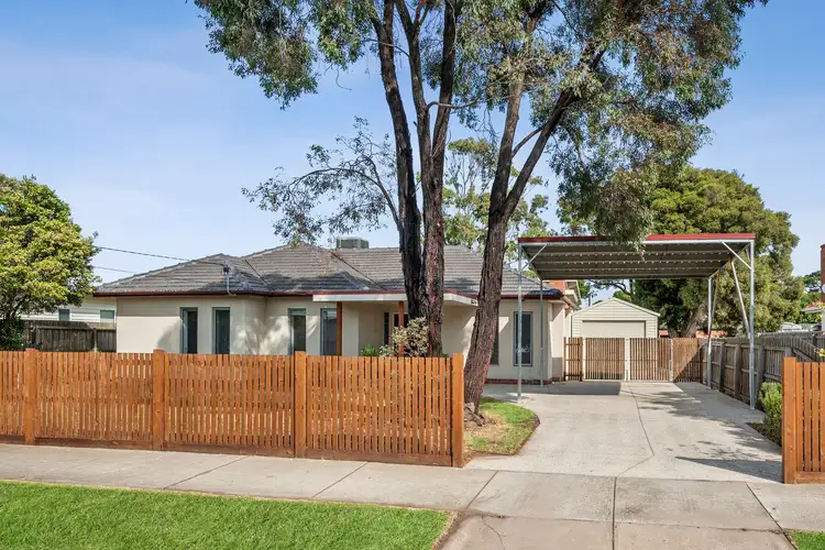 20 Pine Avenue