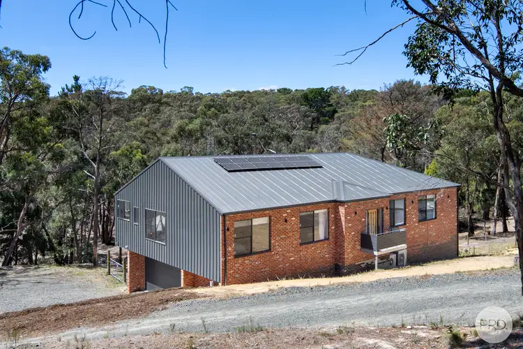 Fifth view of Homely house listing, 163 Jones Avenue, Mount Helen VIC 3350