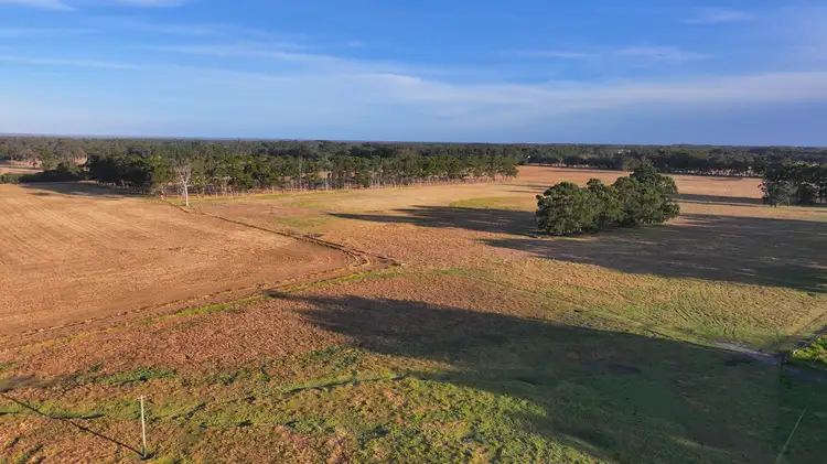 Seventh view of Homely rural property listing, Lot 7 Bussell Highway, Forest Grove WA 6286