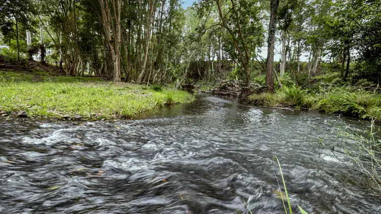 Fourth view of Homely rural property listing, 884 Bellangry Rd, Mortons Creek NSW 2446