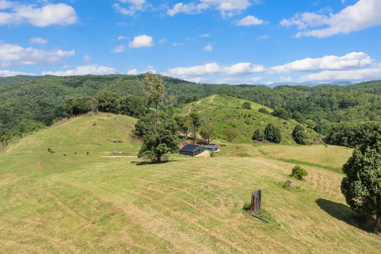 Main view of Homely rural property listing, 766 Urliup Road, Urliup NSW 2484
