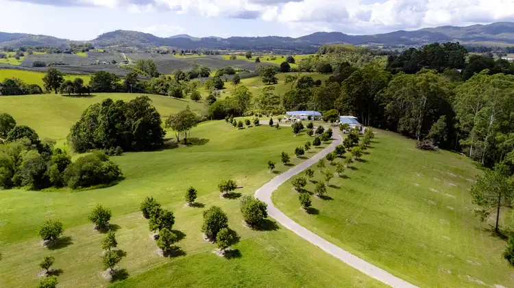 223 Congarinni Road South, Congarinni NSW 2447