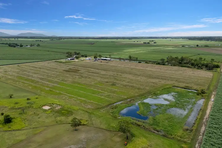 Sixth view of Homely rural property listing, 121 Iona Road, Home Hill QLD 4806