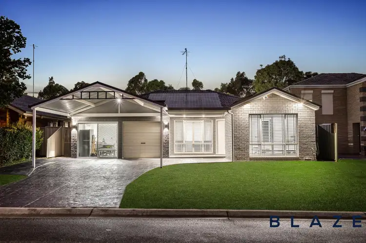 11 Dowding Close, Cecil Hills NSW 2171