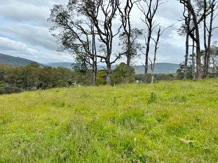 Second view of Homely land listing, Lot 2 Tasman Highway, Weldborough TAS 7264