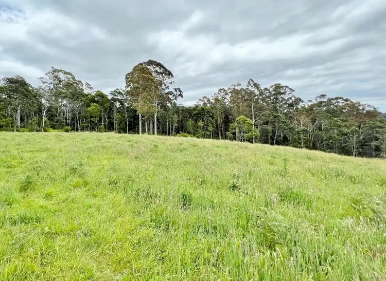 Fifth view of Homely land listing, Lot 2 Tasman Highway, Weldborough TAS 7264